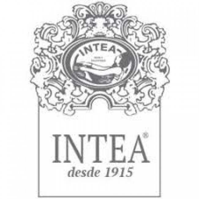 Intea